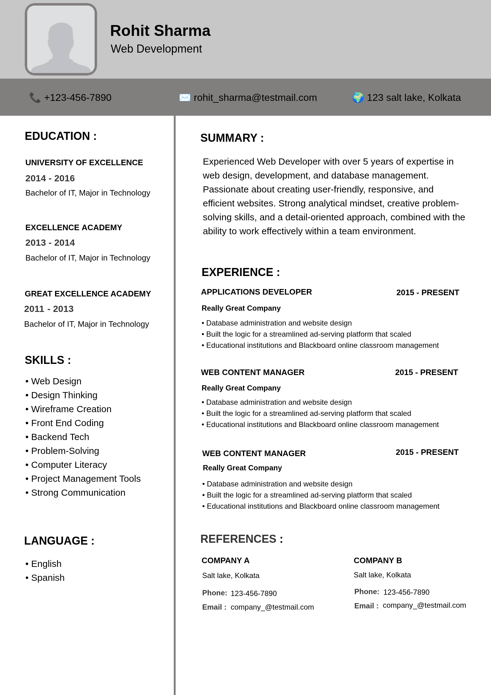 Gray and White Web Developer Resume Template with Profile Photo-Rounded Resume Template Preview