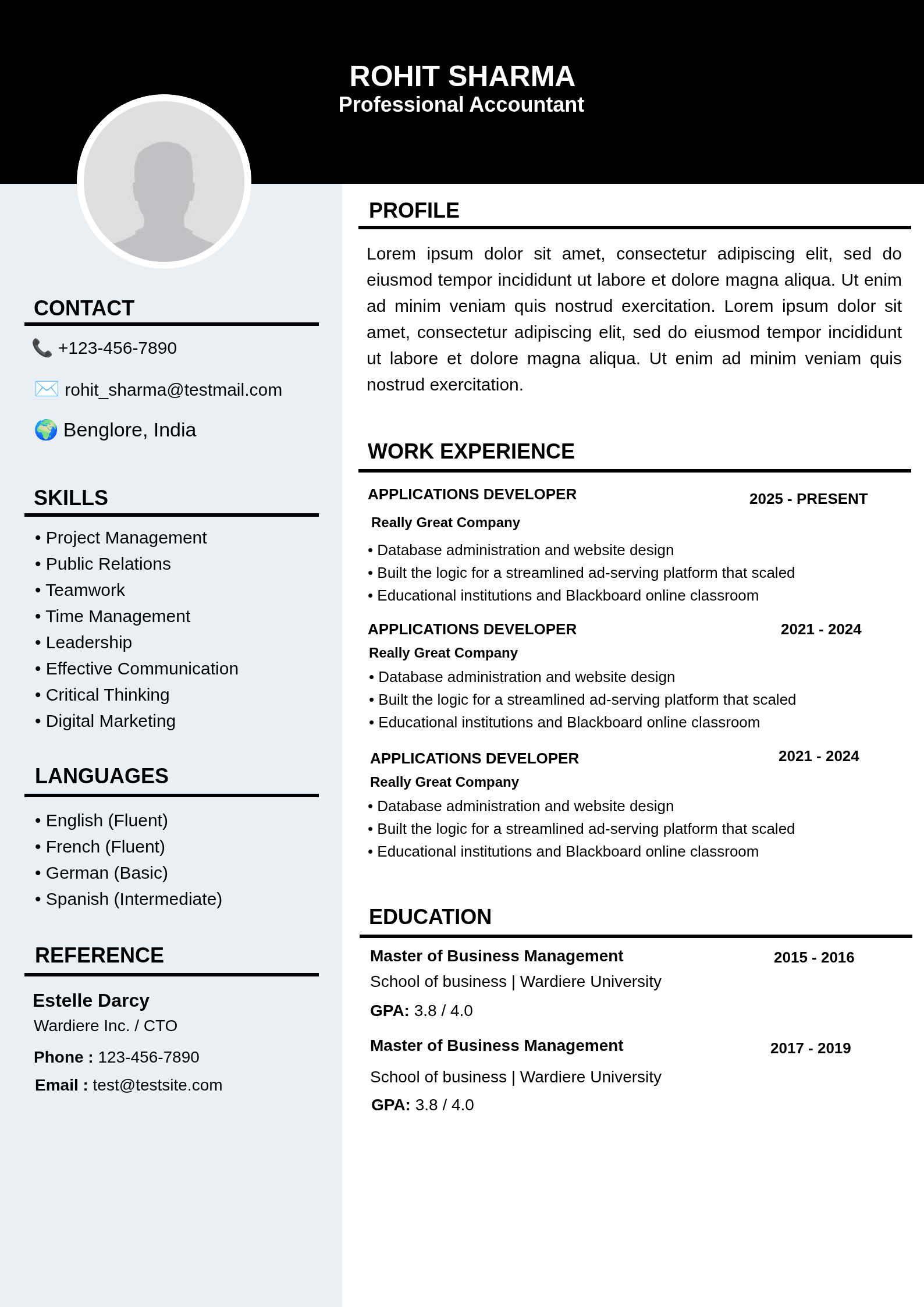 Black and Gray Simple Professional CV Resume Resume Template Preview
